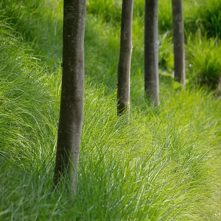 In For 21 People * Denee