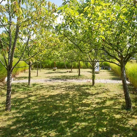 Casa de Férias In For 21 People